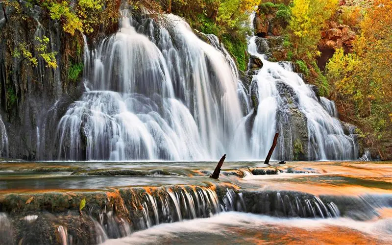 先进先进全自动